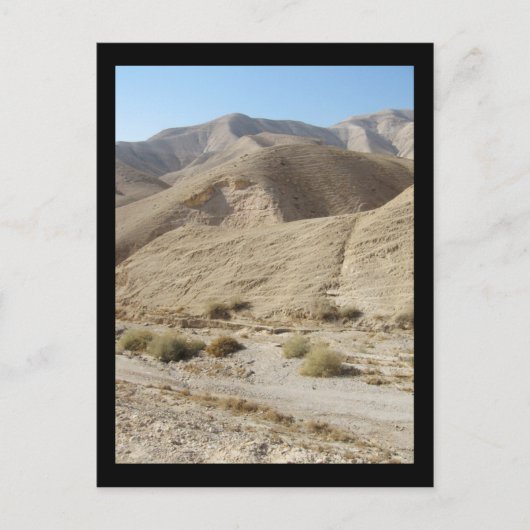 Carte Postale Désert (Devant)