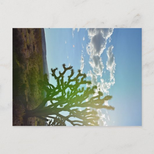 Carte Postale Desert beauty (Devant)