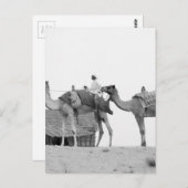 Carte Postale Désert de B&W Dubai (Devant / Derrière)