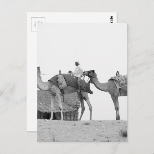 Carte Postale Désert de B&W Dubai (Devant / Derrière)