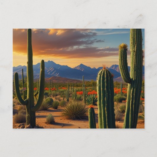 Carte Postale Désert de cactus magnifique (Devant)