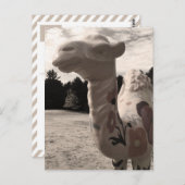 Carte Postale désert de maine (Devant / Derrière)