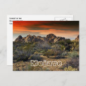 Carte Postale Désert de Mojave, Californie (Devant / Derrière)