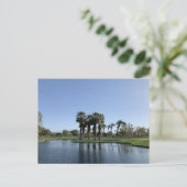 CARTE POSTALE DÉSERT DE PALM N° 1 (Debout devant)