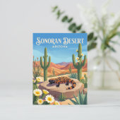 Carte Postale Désert de Sonora États-Unis (Debout devant)