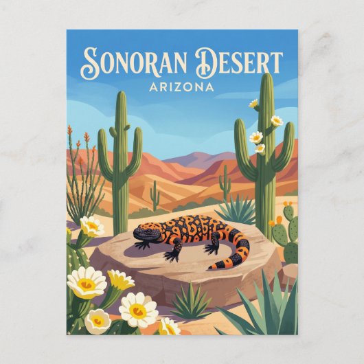 Carte Postale Désert de Sonora États-Unis (Devant)