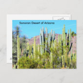 Carte Postale Désert de Sonoran en Arizona (Devant / Derrière)