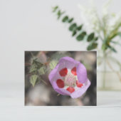 Carte postale Desert Five Spot (Debout devant)