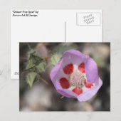 Carte postale Desert Five Spot (Devant / Derrière)