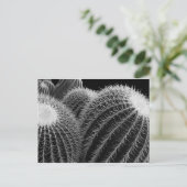 Carte Postale Désert foncé. (Debout devant)