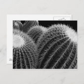 Carte Postale Désert foncé. (Devant / Derrière)