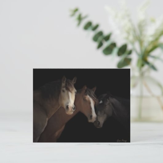 Carte postale Desert Ghosts (Debout devant)