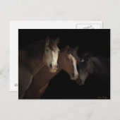 Carte postale Desert Ghosts (Devant / Derrière)