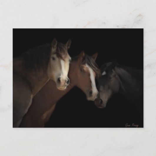 Carte postale Desert Ghosts (Devant)