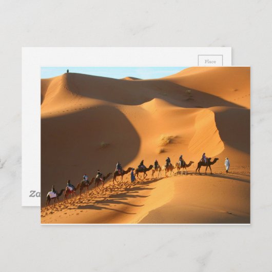 Carte Postale désert-maroc-sahara (Devant / Derrière)