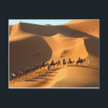 Carte Postale désert-maroc-sahara<br><div class="desc">Profitez de la belle vue du désert marocain -Alsahara sans quitter votre maison,  photo Extraordinaire</div>