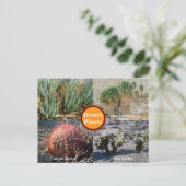 Carte Postale Desert Plants Postcard (Debout devant)