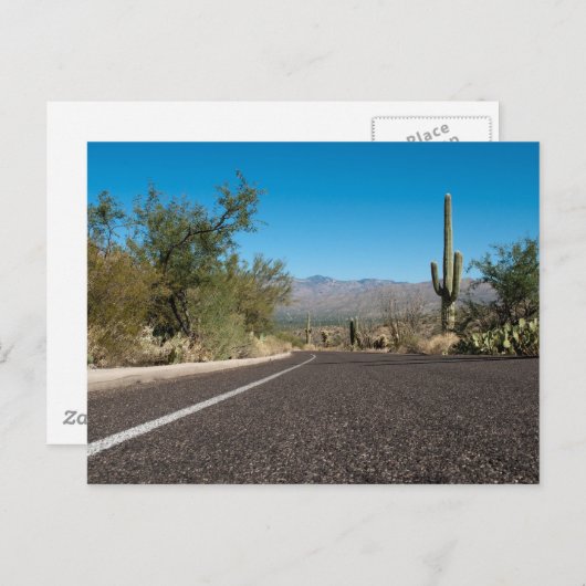 Carte Postale Desert Road (Devant / Derrière)