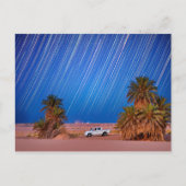 Carte Postale Desert Star Trails : Palm Trees & Pickup Truck Nig (Devant)
