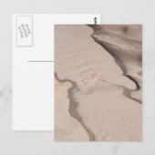 Carte Postale Desert Stream (Devant / Derrière)