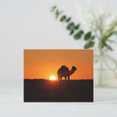 Carte Postale Désert tunisien au coucher du soleil (Debout devant)