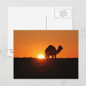 Carte Postale Désert tunisien au coucher du soleil (Devant / Derrière)