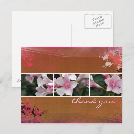 Carte postale DesertBotanical - marron (Devant / Derrière)