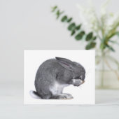 Carte Postale Désespoir du lapin (Debout devant)