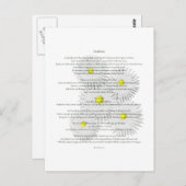 Carte Postale Desiderata avec marguerites (Devant / Derrière)