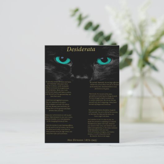 Carte Postale Desiderata chat noir avec ses yeux Turquoise (Debout devant)
