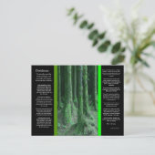 Carte postale DESIDERATA Dark Mossy Forest (Debout devant)