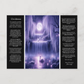 Carte Postale Desiderata Waterfall : Willow Heart Falls (Devant)