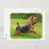 Carte Postale Design australien Silky Terrier (Devant / Derrière)