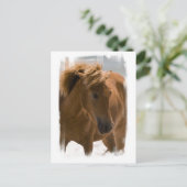 Carte postale Design Chestnut Horse (Debout devant)