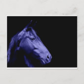 Carte postale Design Cheval bleu (Devant)