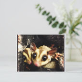 Carte Postale design de la photo de planeur de sucre (Debout devant)