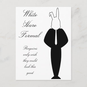 Carte Postale Design de lapin blanc
