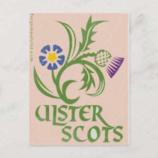 Carte Postale Design de lin et de chardon Ulster-Scots.