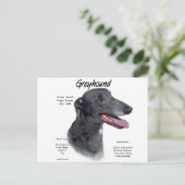Carte Postale Design d'histoire Greyhound (Debout devant)