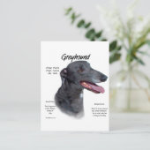 Carte Postale Design d'histoire Greyhound (Debout devant)