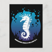 Carte Postale Design graphique Ocean Life - Seahors (Devant)