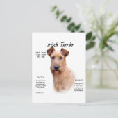Carte Postale Design historique du Terrier irlandais (Debout devant)