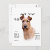 Carte Postale Design historique du Terrier irlandais (Devant / Derrière)