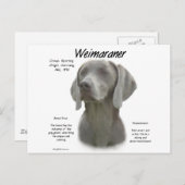 Carte Postale Design historique Weimaraner (Devant / Derrière)