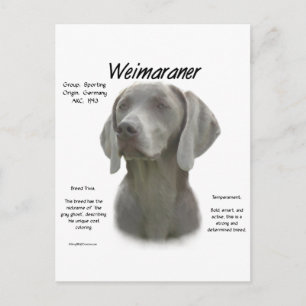Carte Postale Design historique Weimaraner
