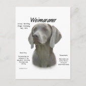 Carte Postale Design historique Weimaraner (Devant)