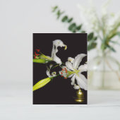 Carte Postale Design irlandais - Collection de laiton et de fleu (Debout devant)