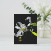 Carte Postale Design irlandais en laiton et en fleur (Debout devant)