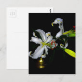 Carte Postale Design irlandais en laiton et en fleur (Devant / Derrière)