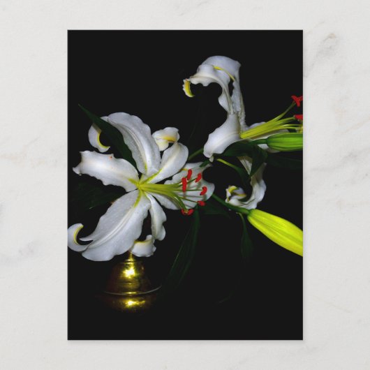 Carte Postale Design irlandais en laiton et en fleur (Devant)